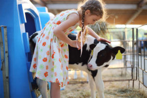 Girl with Calf