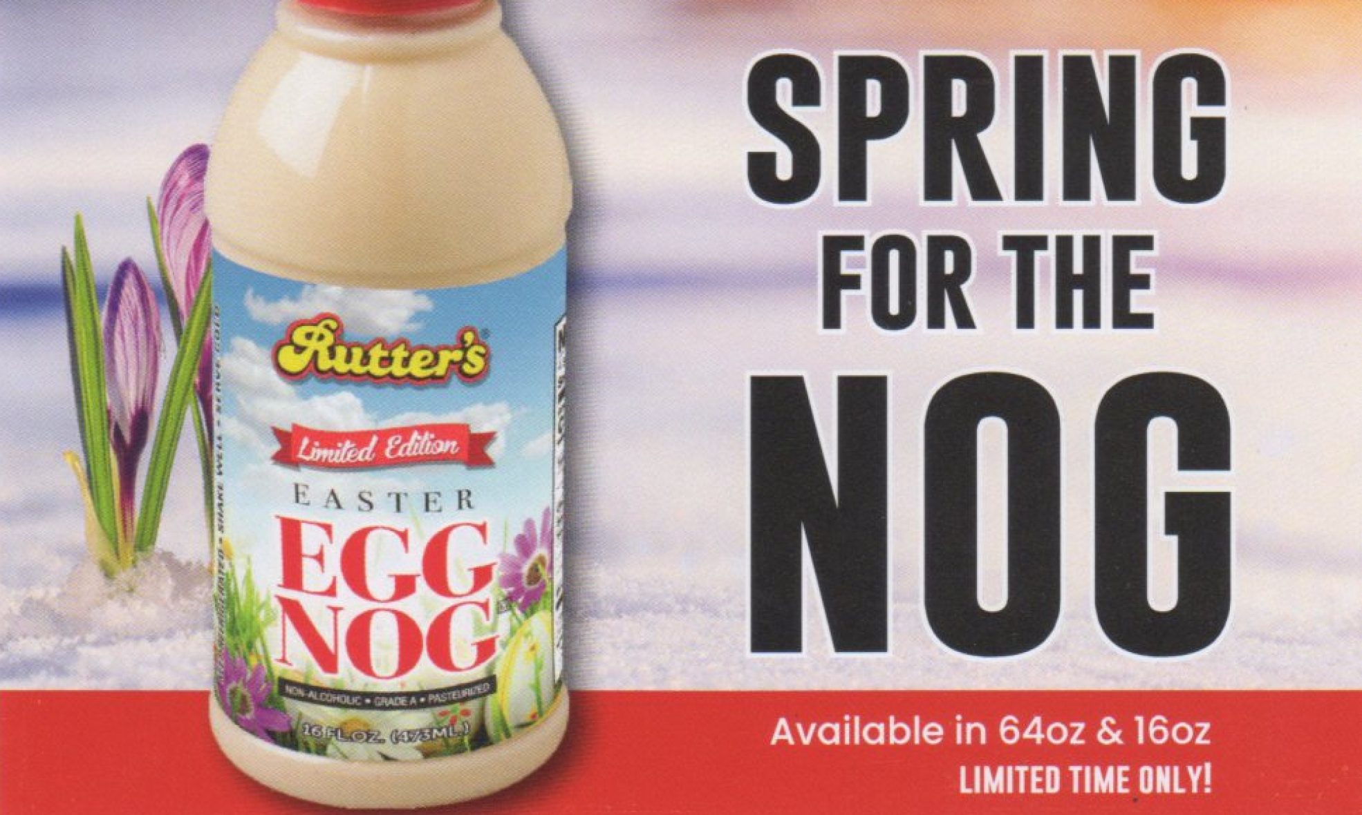 Easter Egg Nog